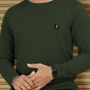 Men Solid Round Neck Polyester Green T-Shirt