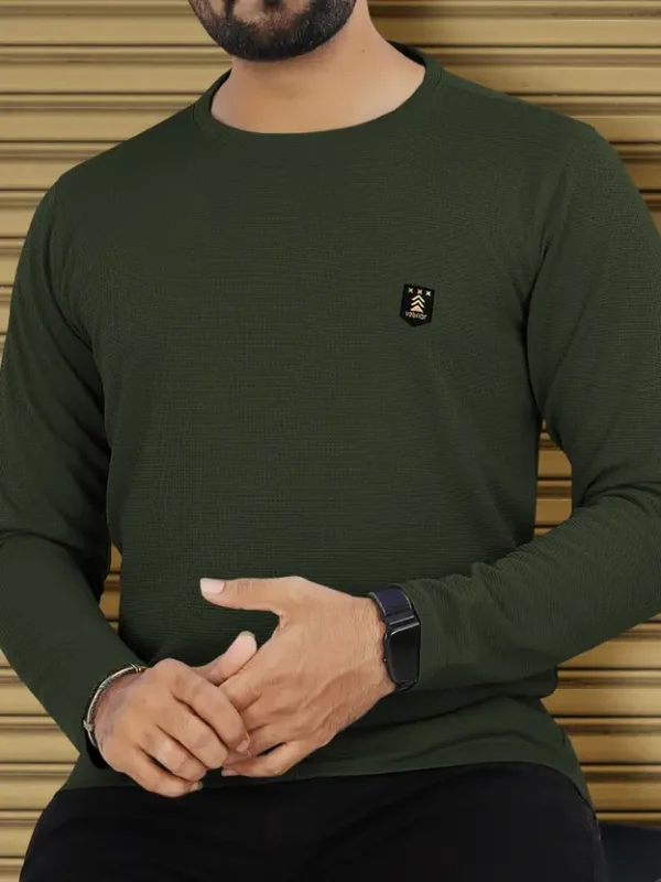 Men Solid Round Neck Polyester Green T-Shirt